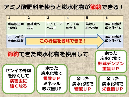 土づくりの技術 Blof ブロフ 栽培 アグリウェブ