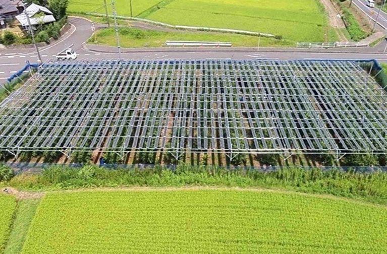 農地の空中で発電する仕組み『ソーラーシェアリング』_ シリーズ「進化するソーラーシェアリング 〜地域・農業・エネルギー共存共創の時代へ」