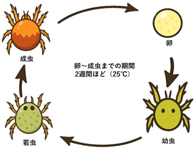 画像7.jpg
