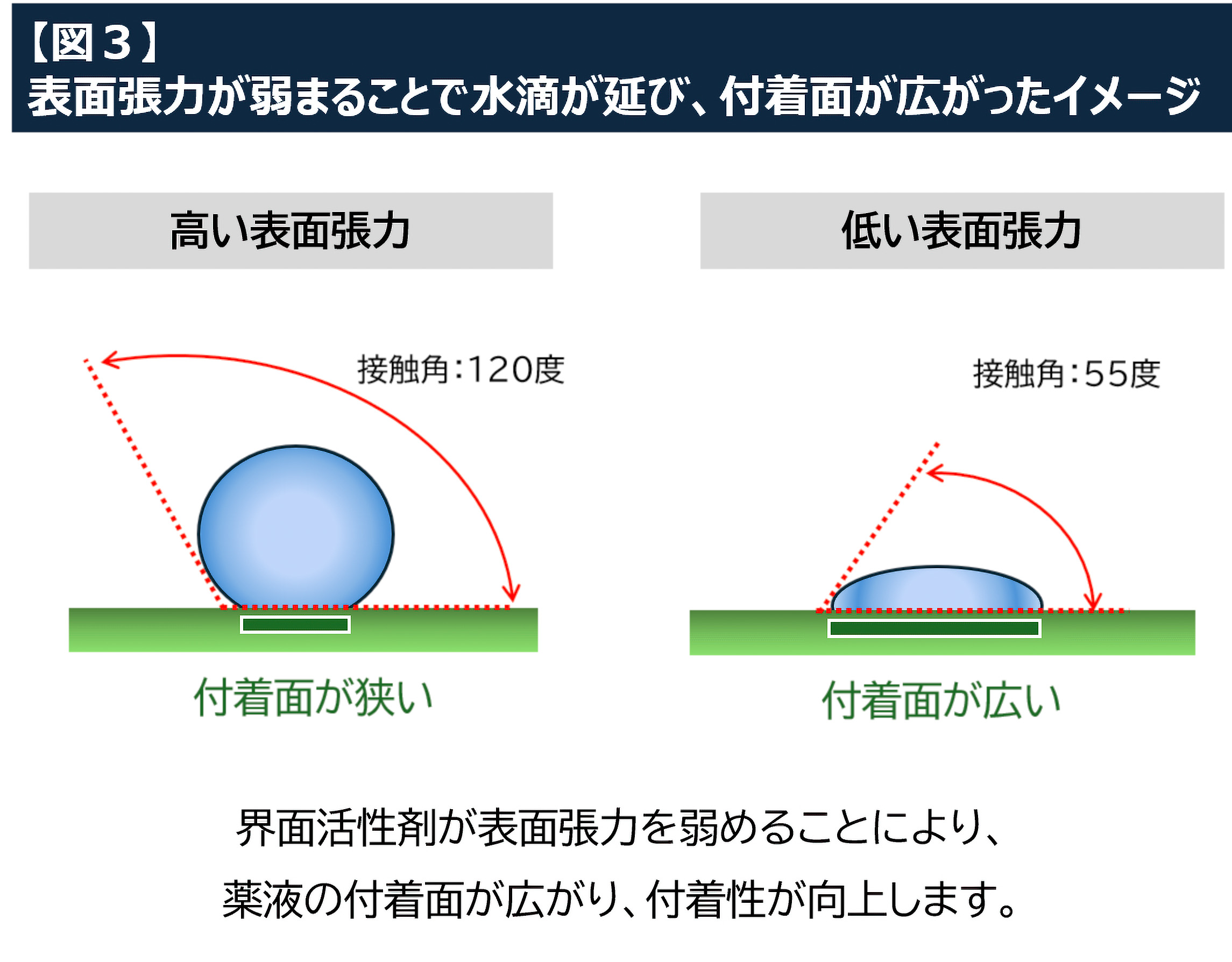 3.表面張力-2.jpg