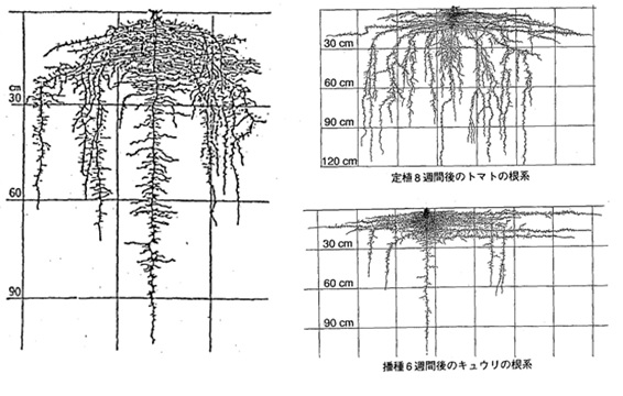 190410図１.jpg