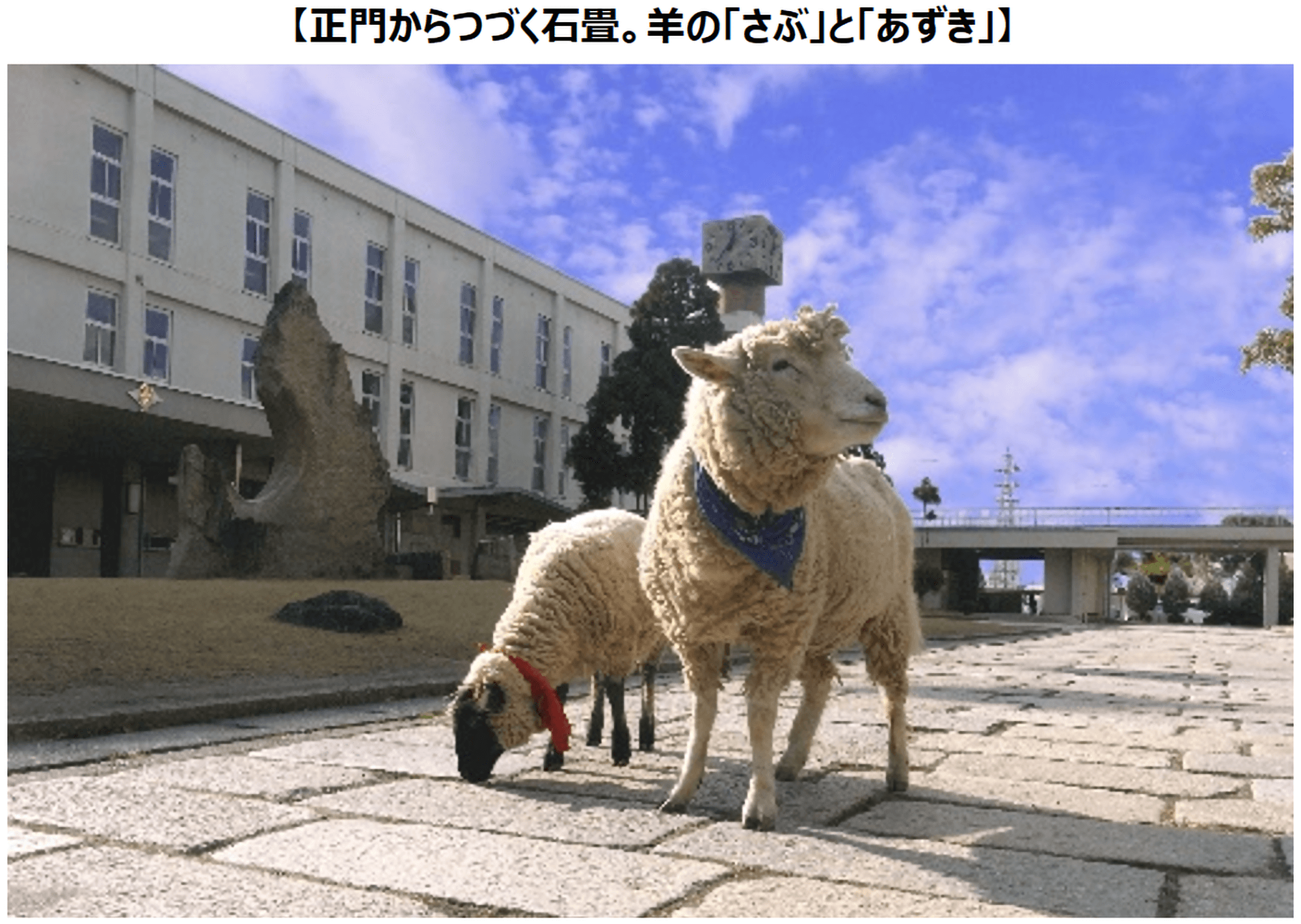 奈良県立磯城野高等学校