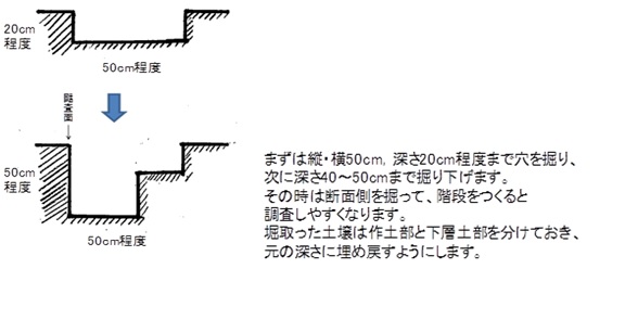 土づくりと土壌診断 土壌診断と改善対策ーその３ー アグリウェブ