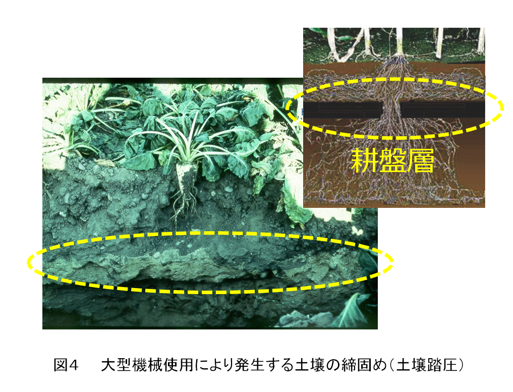 図４　大型機械使用により発生する土壌の締固め（土壌踏圧）