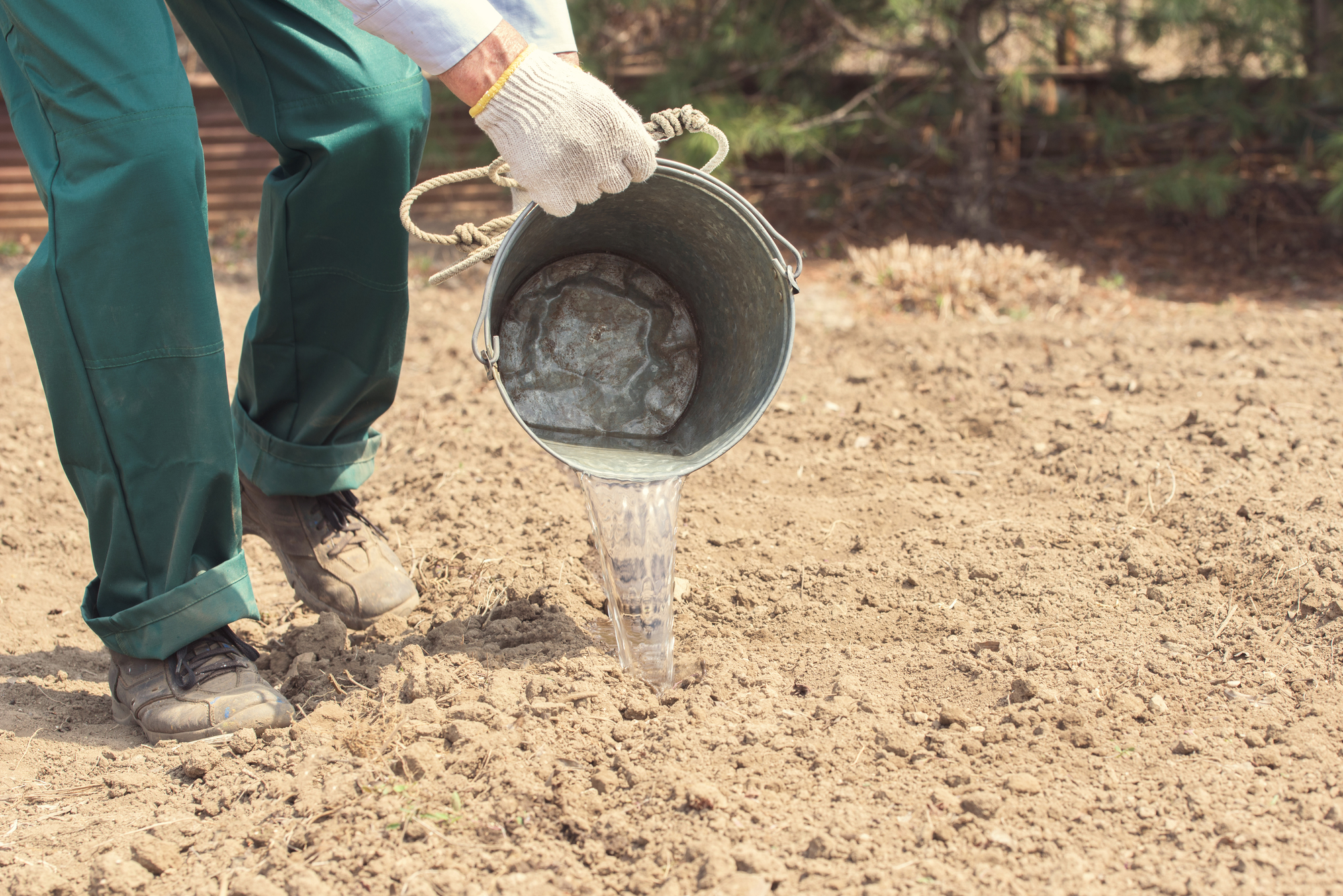 土づくりと土壌診断 土壌改良資材の特性と使い方ーその２ー アグリウェブ