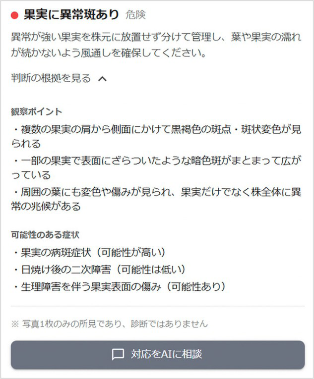 作物の順調チェック