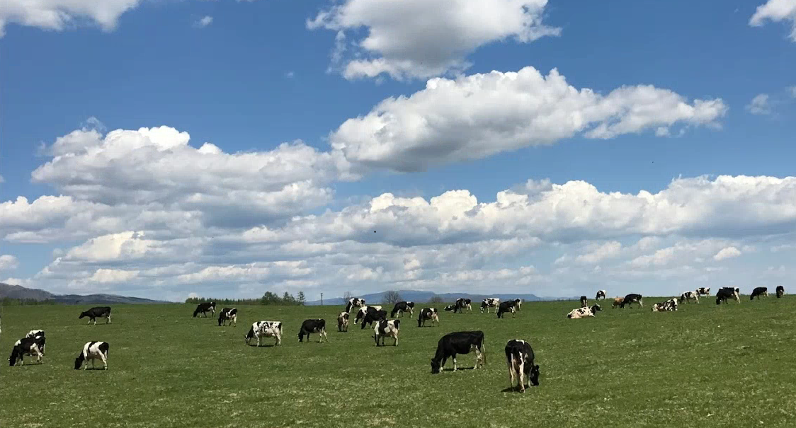 アニマルウェルフェア