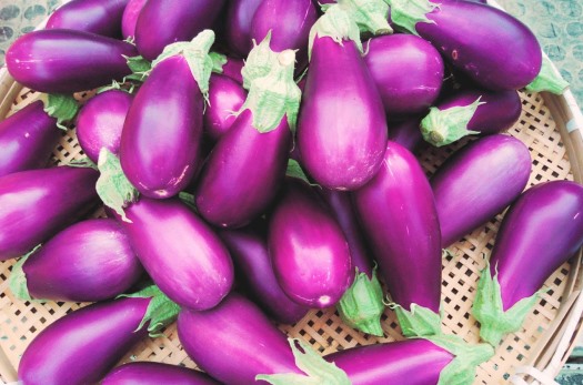 埼玉県春日部市 アグリテック