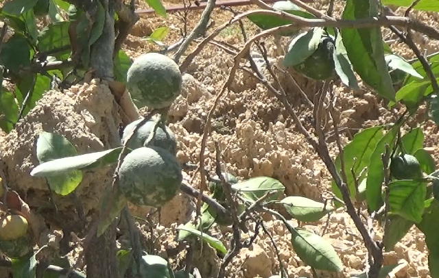 災害にどう対応するのか