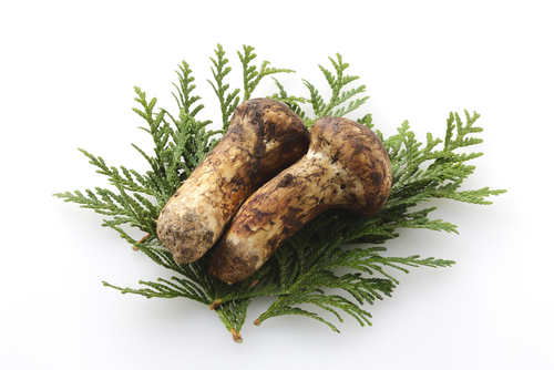 【食材】秋の食材。どんなメニューが伸びているの？