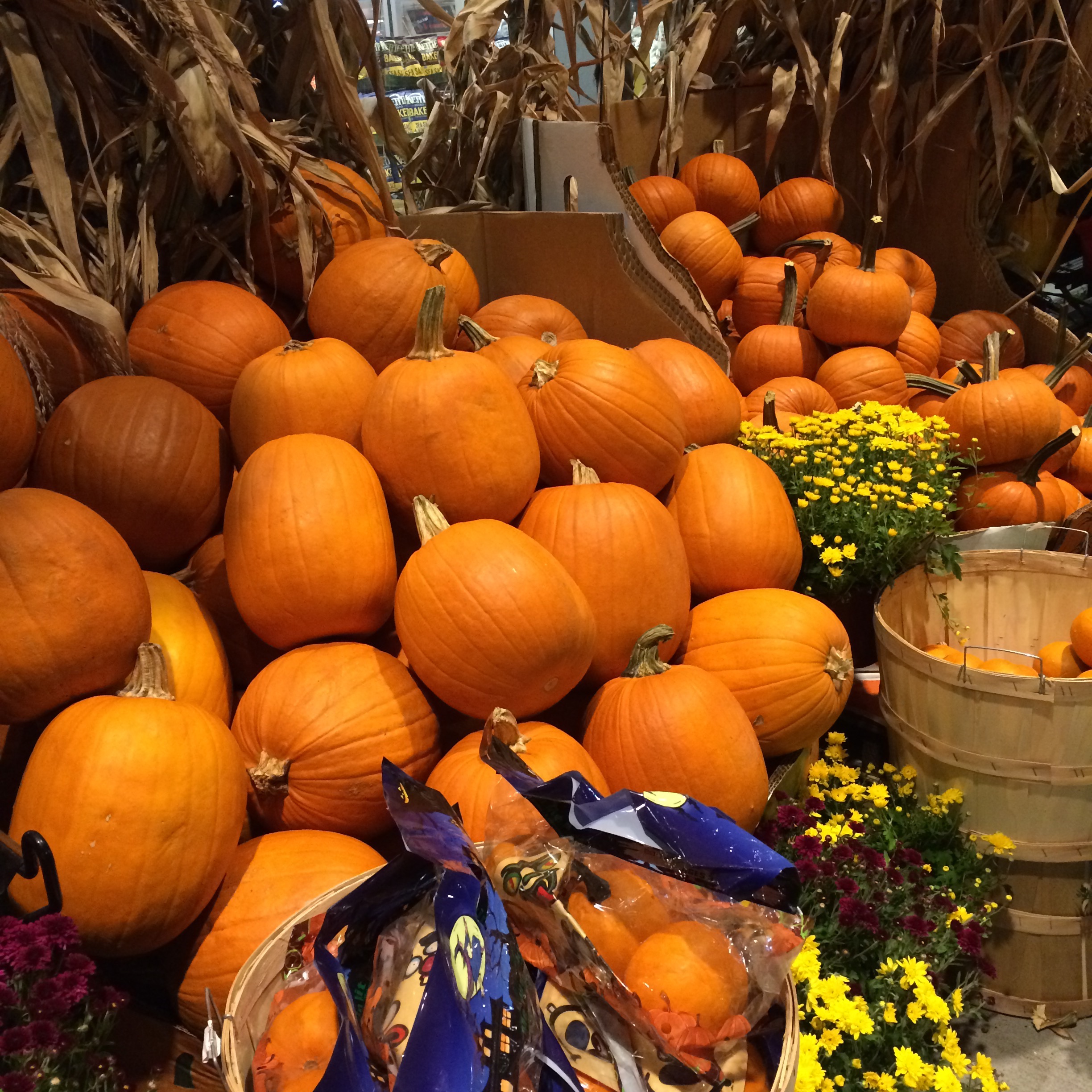 10月公開のコラムのご紹介