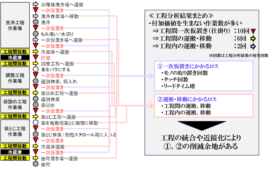 収穫後の野菜の加工プロセス